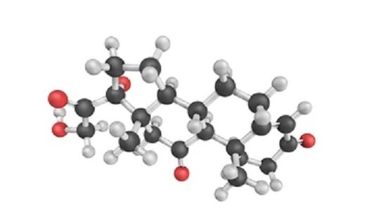 Fungent contiene idrocortisone